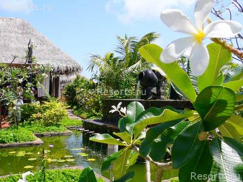 Paradise Island Resort & Spa 11